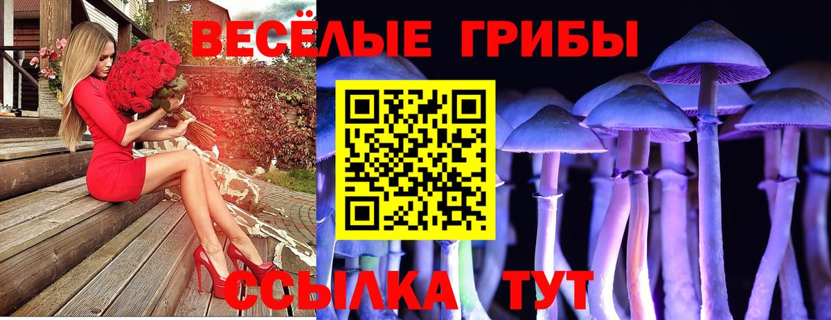 Кировск  Галлюциногенные грибы Magic Shrooms  Вход с VPN 
