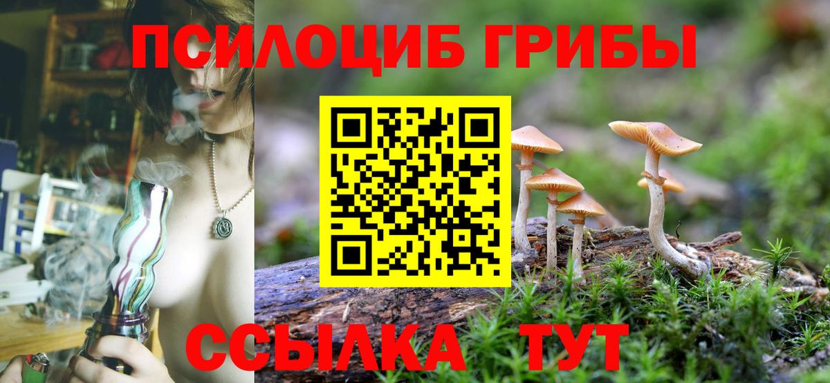 Галлюциногенные грибы Psilocybine cubensis Кировск