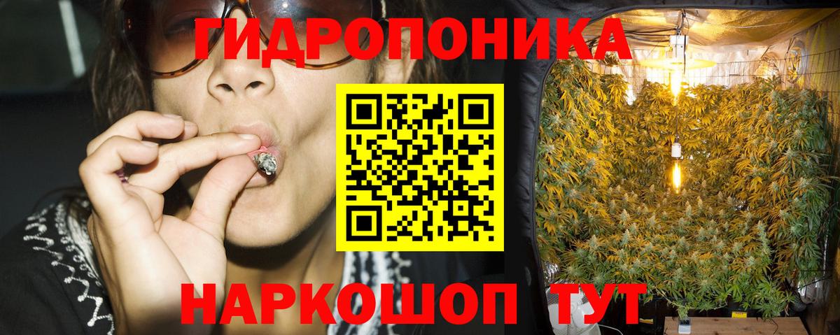Шишки марихуана сатива Кировск
